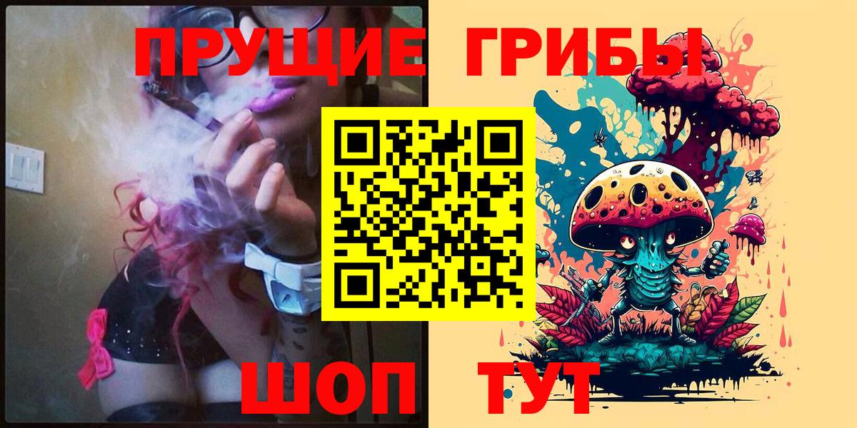Псилоцибиновые грибы прущие грибы Моршанск